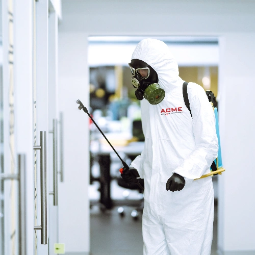 Commercial Pests