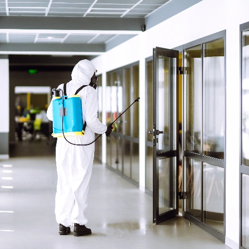 Low-cost Commercial Pest Control Toronto