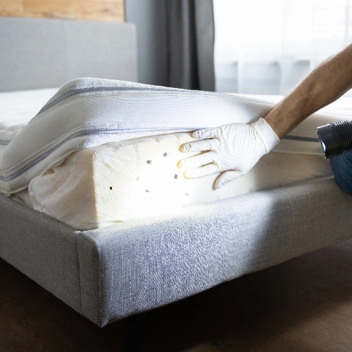 Residential Bedbug Control Services